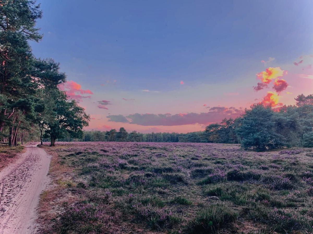 Rode Bosuil: Thuiskomen Op De Veluwe! Otterlo Bagian luar foto