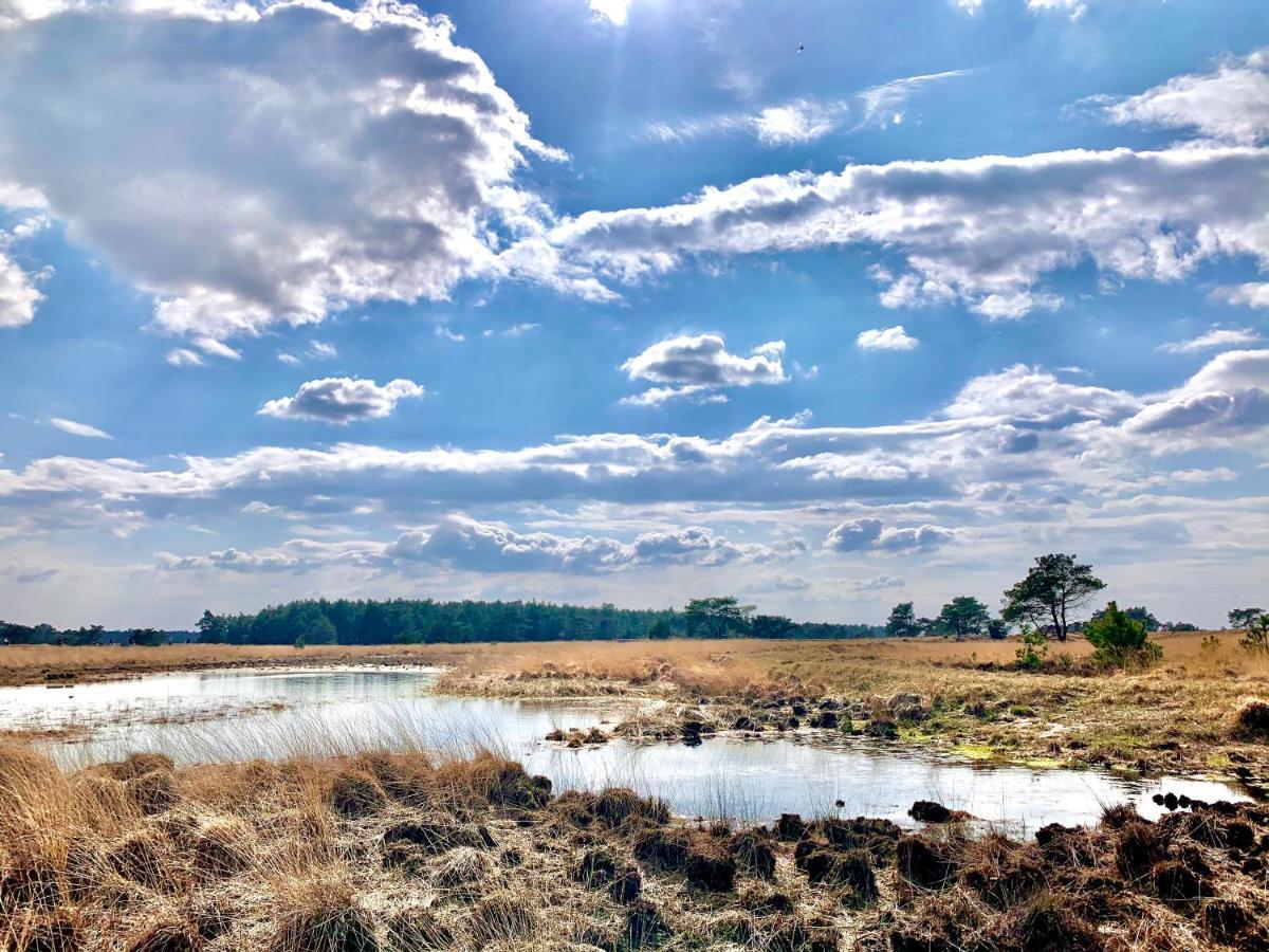 Rode Bosuil: Thuiskomen Op De Veluwe! Otterlo Bagian luar foto