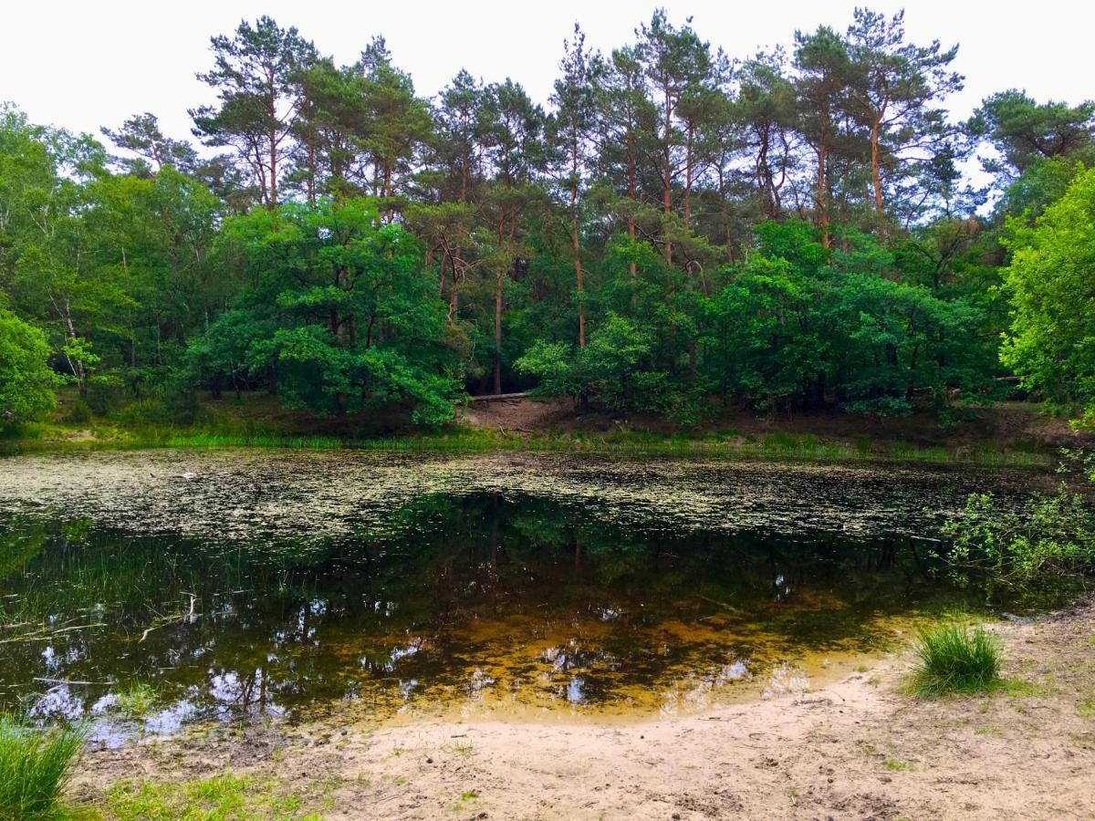 Rode Bosuil: Thuiskomen Op De Veluwe! Otterlo Bagian luar foto